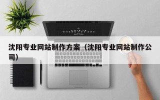 攸县沈阳专业网站制作方案（沈阳专业网站制作公司）